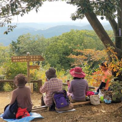 埼玉県 ハイキング 登山 に関する旅行記 ブログ フォートラベル
