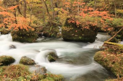 今年初めてのエア旅♪　錦繍の紅葉を愛でるみちのくの旅５日間♪　１~２日目 十和田湖、奥入瀬川、蔦沼