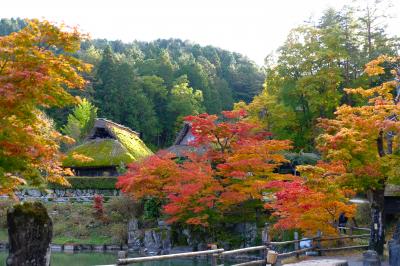 日帰りで日本酒に高山グルメ三昧、そして紅葉の飛騨の里へ。