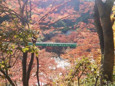 福島県南　塙　矢祭　いわきの旅