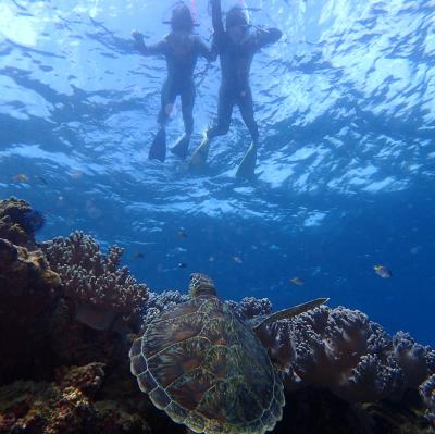 GOTO石垣島3泊4日旅行☆1日目・2日目：石垣島