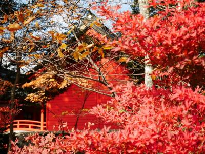 シニア夫妻２組が行く日帰り紅葉狩り