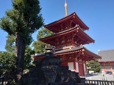 秋の神田川と神社・仏閣★駅からハイキング