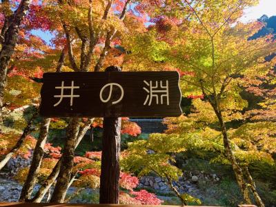 愛知県と長野県の県境「紅葉を探して茶臼山」