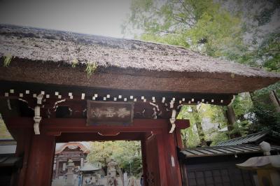 秋の東京ゆらゆら散歩～深大寺と吉祥寺