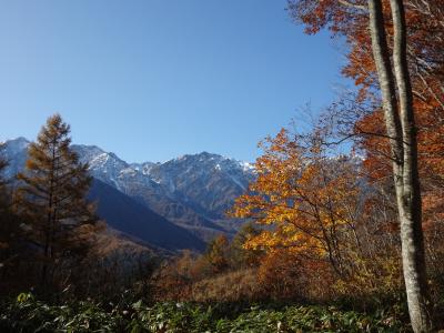 三段紅葉の白馬岩岳マウンテンリゾート