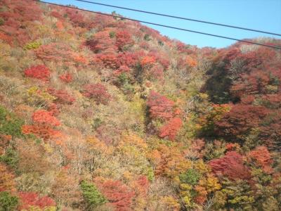 紅葉の雲仙で青雲荘・白濁の湯を楽しむ旅