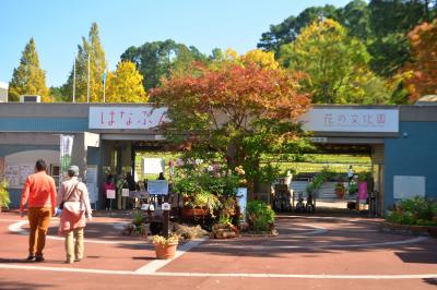 花の文化園