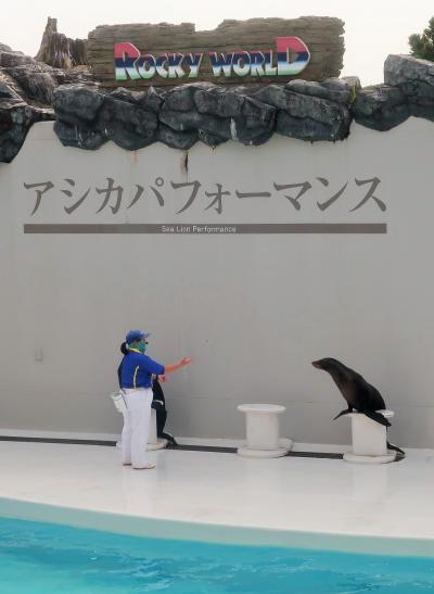 鴨川SeaWorld-11　アシカパフォーマンス　☆コミカルな動き・笑い顔で決めポーズ