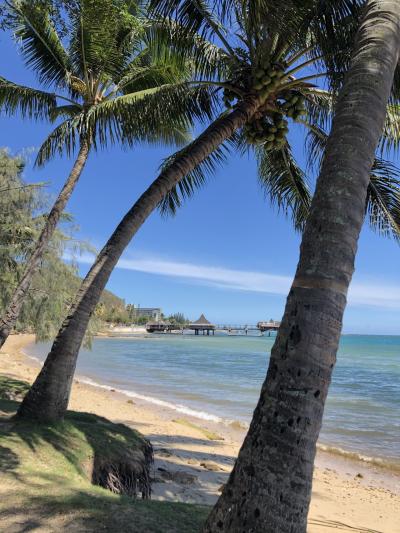 2020年2月 ニューカレドニア 1