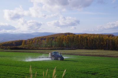 満を持して…人生初北海道の旅!!(ようやく47都道府県制覇★) No.2 ラベンダー咲いてなくても満足! 壮大なスケールの紅葉を堪能出来た日