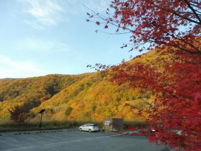 西沢渓谷、上日川峠、日川渓谷紅葉巡り