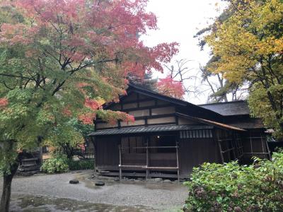 紅葉の秋田を満喫（子連れ）3/3 ～角館の武家屋敷散策、横手やきそば～