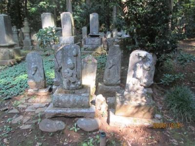 柏市の旧沼南町・柳戸・県道から北・六所神社・石仏