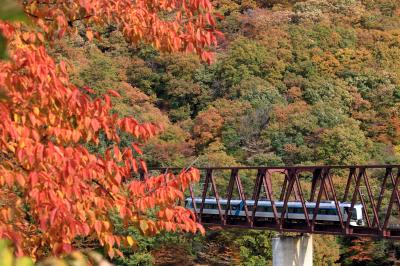 2020 紅葉散歩（湯西川温泉周辺で撮鉄に挑戦）