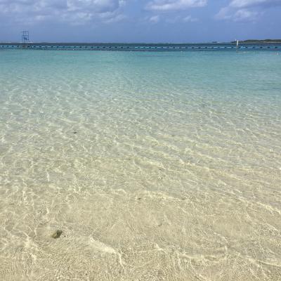 2泊3日の初沖縄 一人旅 その2 美ら海水族館 今帰仁城 沖縄北部の旅