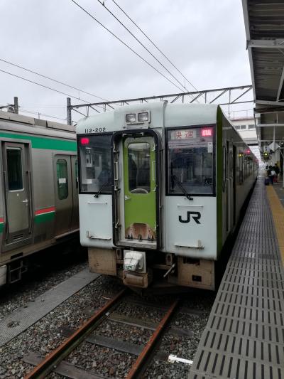 快速あがのde新潟へ～強風で途中運転中止編～