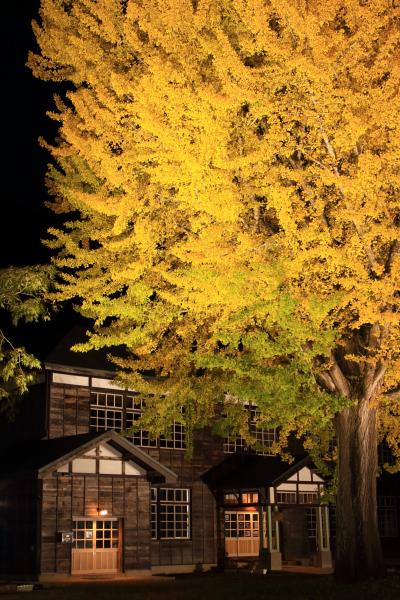 福島　紅葉めぐり～只見線、喰丸小、土津神社、あづま総合運動公園、白糸の滝、南湖神社、雪割渓谷