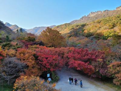 2020秋 韓国 全羅北道 内蔵山で紅葉狩り 