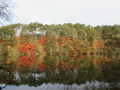 福島県へ、紅葉めぐり②