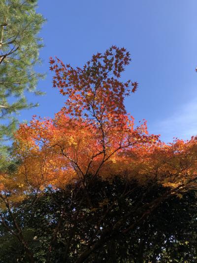 思い立って京都嵐山方面へ