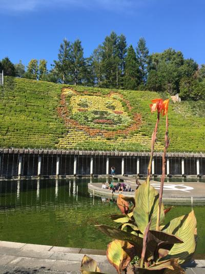 宇治市植物園　散歩