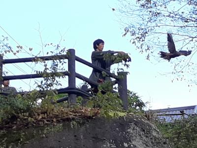 晩秋の芦ノ牧温泉→磐梯→仙台・秋保