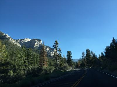 ネバダ州 マウントチャールストン　ー　車で山を登って夏山の景色を堪能