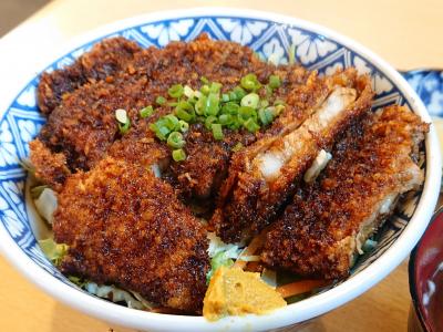 さくっと飯田。ソースかつ丼と飯田城温泉の会(と言っても一人だけど)