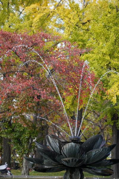 20201106-2 京都 東本願寺は、けっこ秋の風情かも。門前の銀杏とかですけれど。