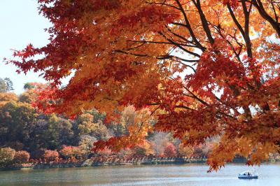 GoTo使って紅葉の蓼科へ・・・