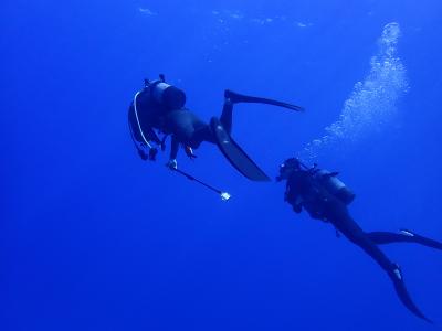 秋　沖縄ダイビング　那覇から渡嘉敷島「黒島北」