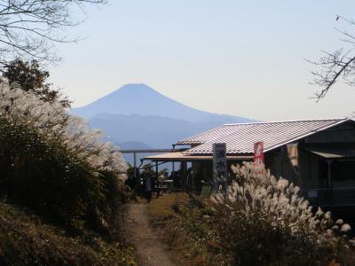 県内旅行で相模原の陣馬山へ。①陣馬山を登りました。宿泊は相模原の陣谷温泉。