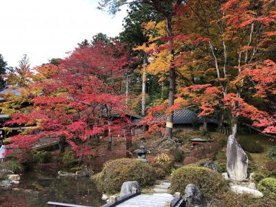 大人の遠足日光日帰りバスの旅