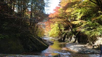 紅葉の古峯神社+大芦渓谷(白井平橋)