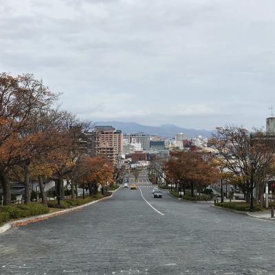 函館散策　観光拠点はセンチュリーマリーナ函館