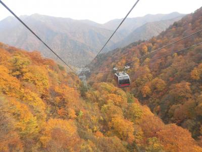 奥只見湖・苗場・谷川岳の素晴らしき紅葉！