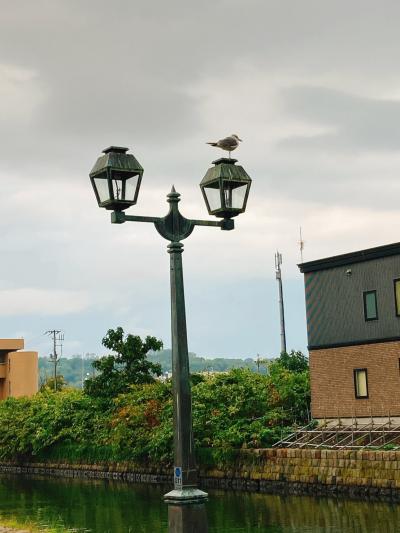 母娘旅行～札幌小樽～２０２０夏の終わり③