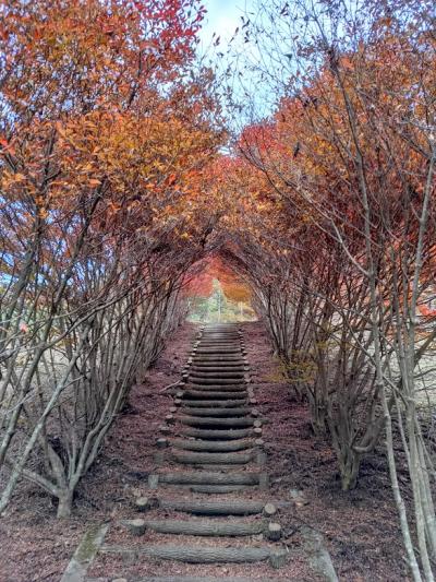 三つ峠山（健脚コース：登り）