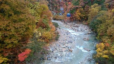 新潟の見どころたくさん！紅葉満喫&#127809;