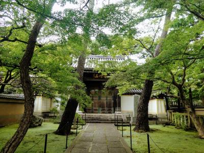 【武蔵野三十三観音】3 武蔵野三十三観音（2番道場寺、3番三宝寺）と石神井公園散策