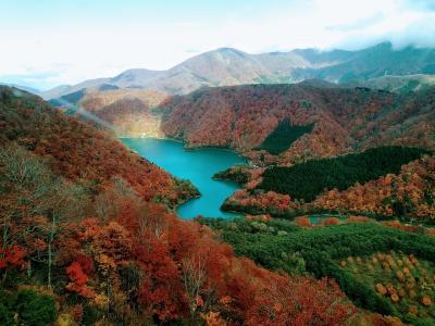 紅葉の新潟と宝徳稲荷の神幸祭