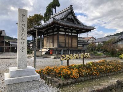 GOTO家族旅行『憧れの千手千足観音さまに再会』編　