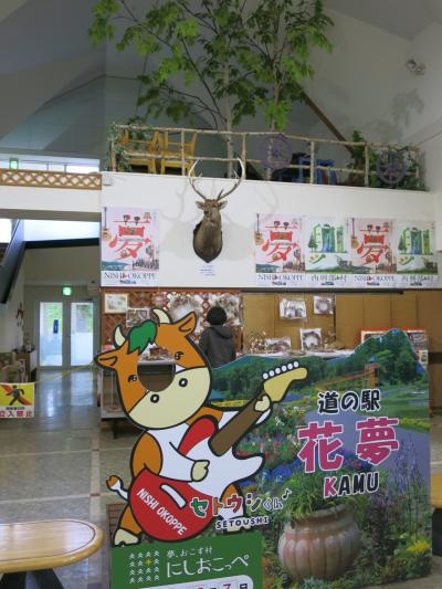 秋色探しの１泊2日バスツアー②《道の駅　にしおこっぺ花夢（フラワーパーク花夢）》