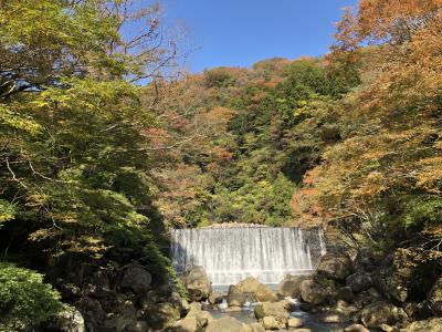 紅葉の箱根　～早川渓谷の散策～