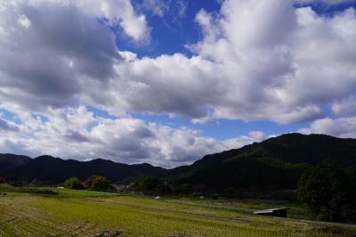 20201109-4 京都 三千院からバスターミナルへの戻り道にて…