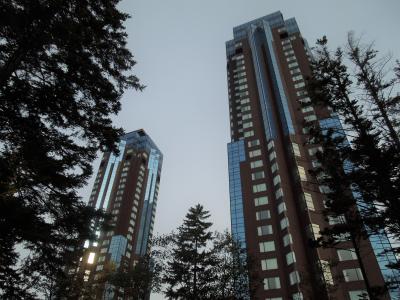 秋の北海道の旅⑧トマム～えこりん村～新千歳空港～羽田空港