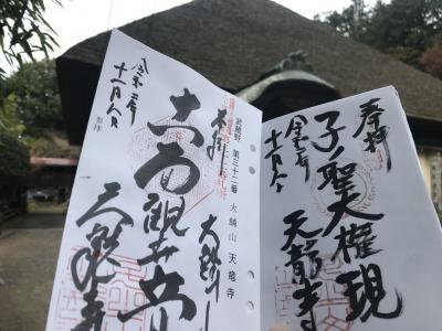 池袋から歩いて飯能を目指します～武蔵野三十三観音徒歩巡礼 最終回～