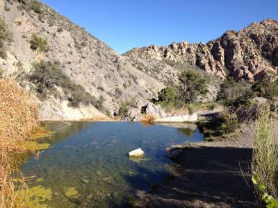 ネバダ州 レッド ロック キャニオン国立保護区　－　砂漠の中にある泉に向かうトレイルもあります。