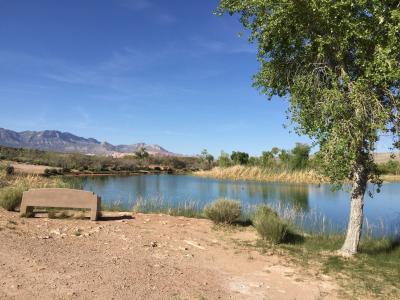 ネバダ州 スプリング マウンテン ランチ州立公園　－　ラスベガス近郊のオアシス